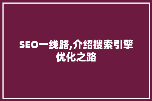 SEO一线路,介绍搜索引擎优化之路  第1张