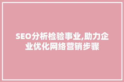 SEO分析检验事业,助力企业优化网络营销步骤