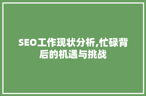 SEO工作现状分析,忙碌背后的机遇与挑战