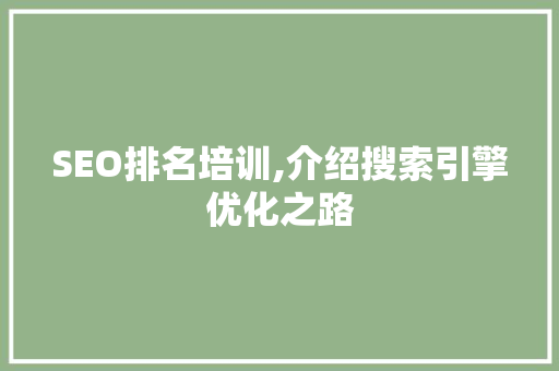 SEO排名培训,介绍搜索引擎优化之路