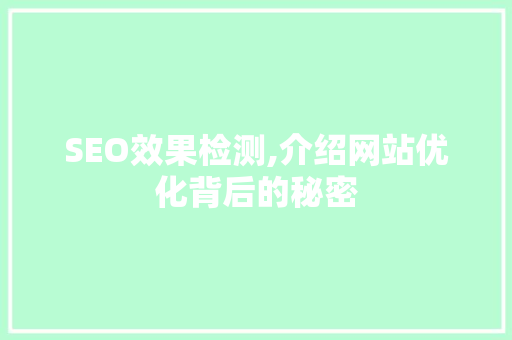 SEO效果检测,介绍网站优化背后的秘密