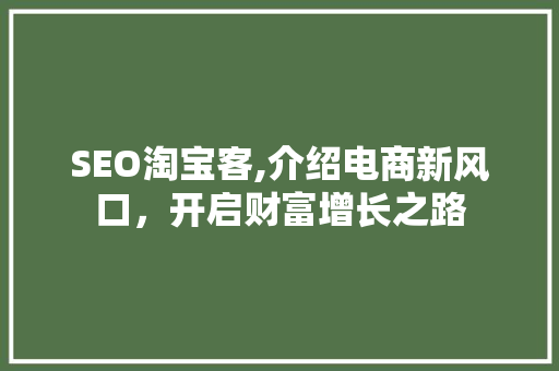 SEO淘宝客,介绍电商新风口，开启财富增长之路