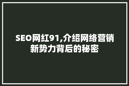 SEO网红91,介绍网络营销新势力背后的秘密