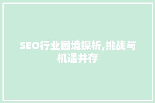 SEO行业困境探析,挑战与机遇并存