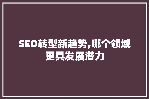 SEO转型新趋势,哪个领域更具发展潜力