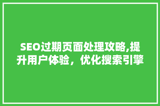 SEO过期页面处理攻略,提升用户体验，优化搜索引擎排名