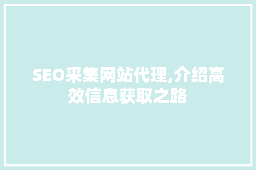 SEO采集网站代理,介绍高效信息获取之路