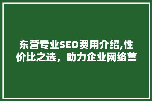 东营专业SEO费用介绍,性价比之选，助力企业网络营销
