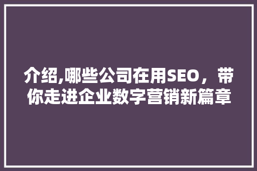 介绍,哪些公司在用SEO，带你走进企业数字营销新篇章