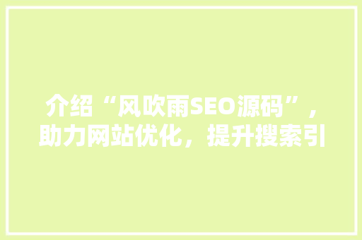 介绍“风吹雨SEO源码”,助力网站优化，提升搜索引擎排名的秘密武器