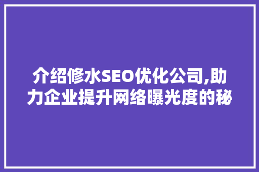 介绍修水SEO优化公司,助力企业提升网络曝光度的秘密武器