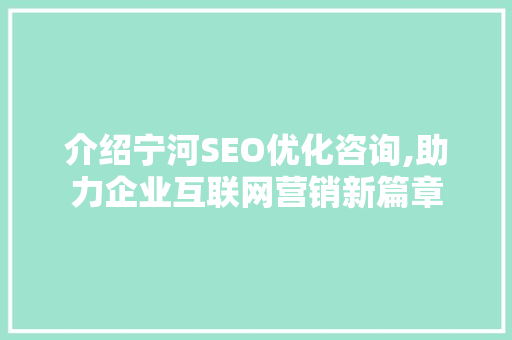 介绍宁河SEO优化咨询,助力企业互联网营销新篇章