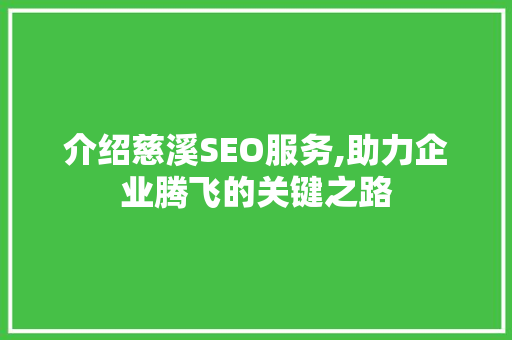 介绍慈溪SEO服务,助力企业腾飞的关键之路