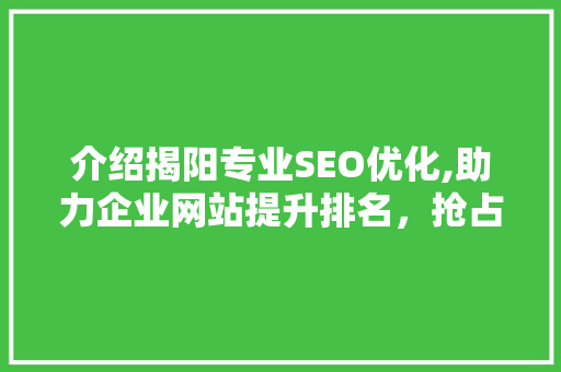 介绍揭阳专业SEO优化,助力企业网站提升排名，抢占市场先机