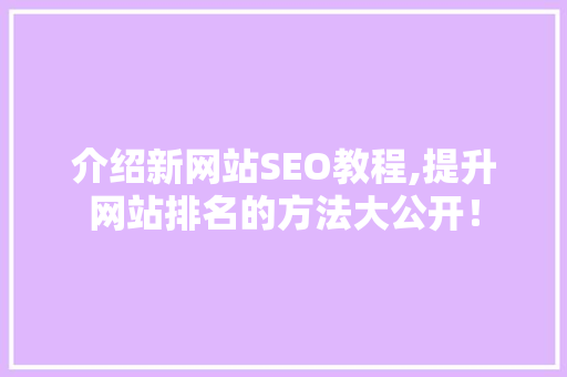介绍新网站SEO教程,提升网站排名的方法大公开！