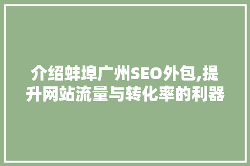 介绍蚌埠广州SEO外包,提升网站流量与转化率的利器