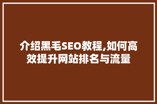 介绍黑毛SEO教程,如何高效提升网站排名与流量