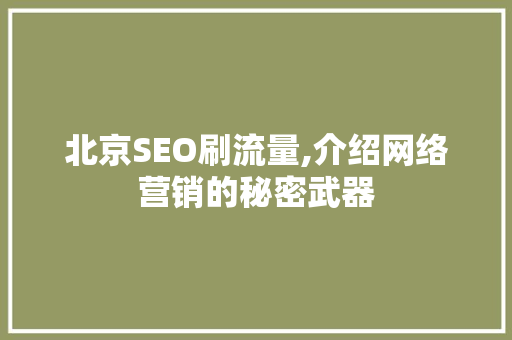 北京SEO刷流量,介绍网络营销的秘密武器