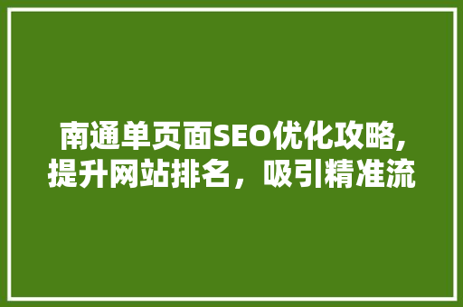 南通单页面SEO优化攻略,提升网站排名，吸引精准流量