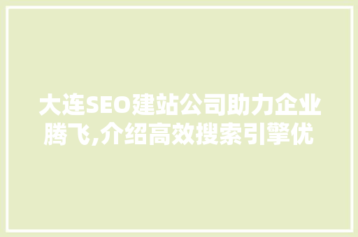 大连SEO建站公司助力企业腾飞,介绍高效搜索引擎优化步骤