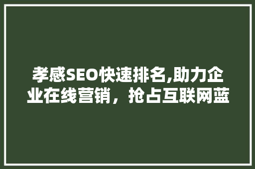 孝感SEO快速排名,助力企业在线营销，抢占互联网蓝海