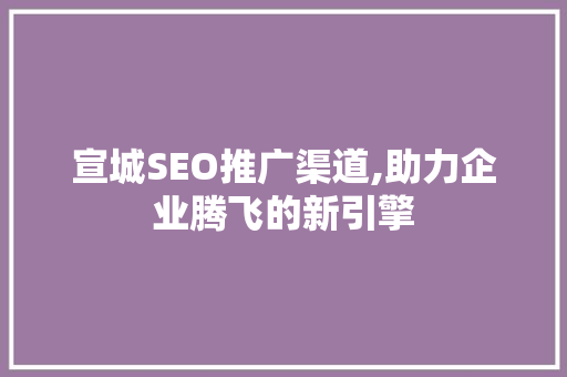 宣城SEO推广渠道,助力企业腾飞的新引擎