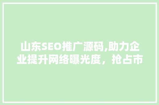 山东SEO推广源码,助力企业提升网络曝光度，抢占市场先机