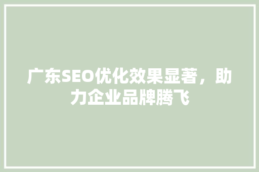 广东SEO优化效果显著，助力企业品牌腾飞