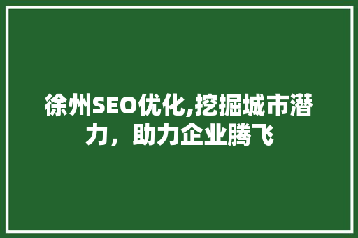 徐州SEO优化,挖掘城市潜力，助力企业腾飞