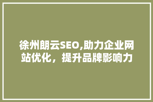 徐州朗云SEO,助力企业网站优化，提升品牌影响力