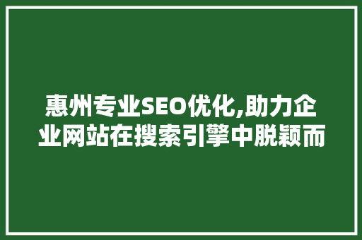 惠州专业SEO优化,助力企业网站在搜索引擎中脱颖而出