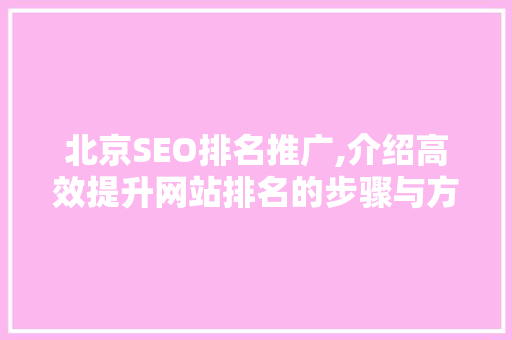 北京SEO排名推广,介绍高效提升网站排名的步骤与方法