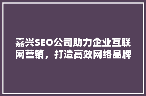 嘉兴SEO公司助力企业互联网营销，打造高效网络品牌形象