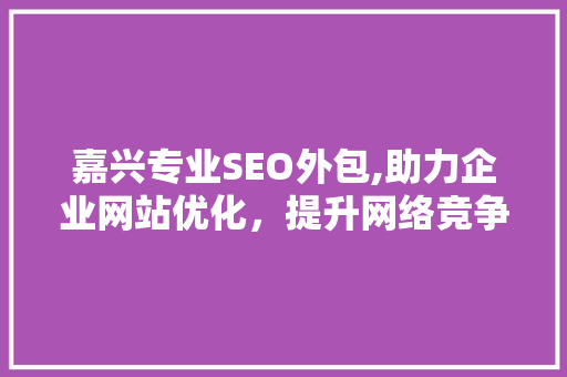 嘉兴专业SEO外包,助力企业网站优化，提升网络竞争力