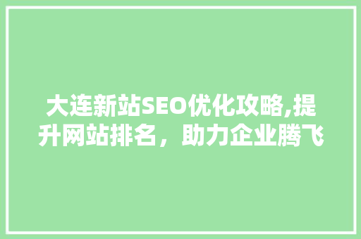 大连新站SEO优化攻略,提升网站排名，助力企业腾飞