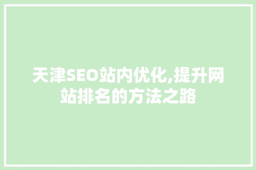天津SEO站内优化,提升网站排名的方法之路