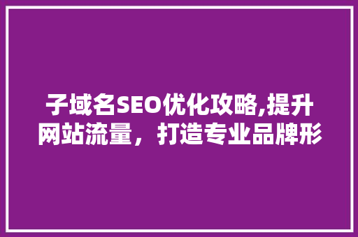 子域名SEO优化攻略,提升网站流量，打造专业品牌形象