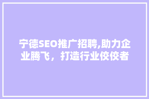 宁德SEO推广招聘,助力企业腾飞，打造行业佼佼者