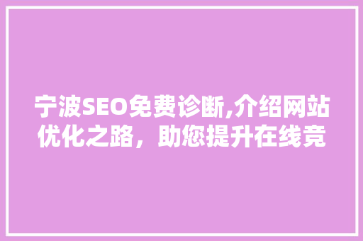 宁波SEO免费诊断,介绍网站优化之路，助您提升在线竞争力
