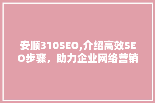 安顺310SEO,介绍高效SEO步骤，助力企业网络营销腾飞