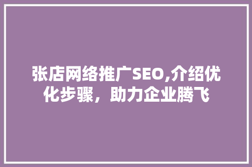 张店网络推广SEO,介绍优化步骤，助力企业腾飞