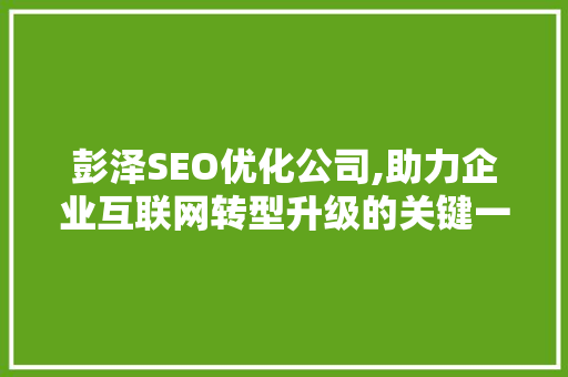 彭泽SEO优化公司,助力企业互联网转型升级的关键一步