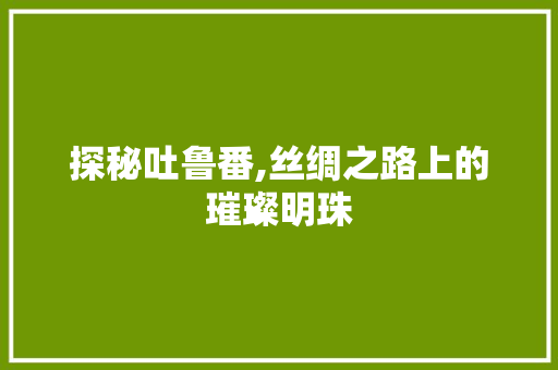 探秘吐鲁番,丝绸之路上的璀璨明珠