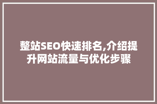 整站SEO快速排名,介绍提升网站流量与优化步骤