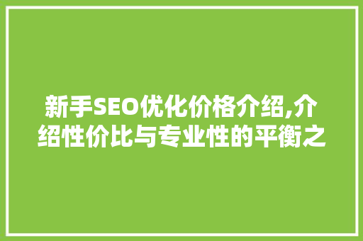 新手SEO优化价格介绍,介绍性价比与专业性的平衡之路