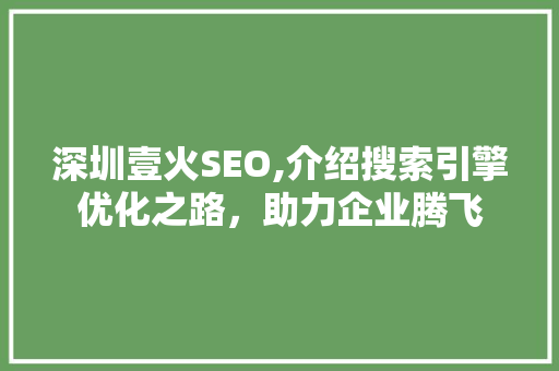深圳壹火SEO,介绍搜索引擎优化之路，助力企业腾飞