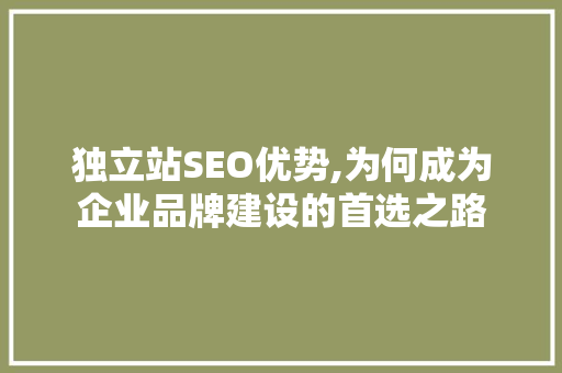 独立站SEO优势,为何成为企业品牌建设的首选之路