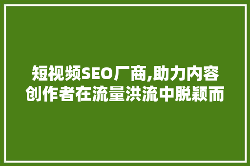 短视频SEO厂商,助力内容创作者在流量洪流中脱颖而出