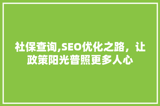 社保查询,SEO优化之路，让政策阳光普照更多人心