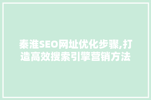 秦淮SEO网址优化步骤,打造高效搜索引擎营销方法
